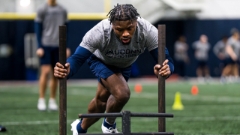 5 Newcomers to be Excited About in 2026